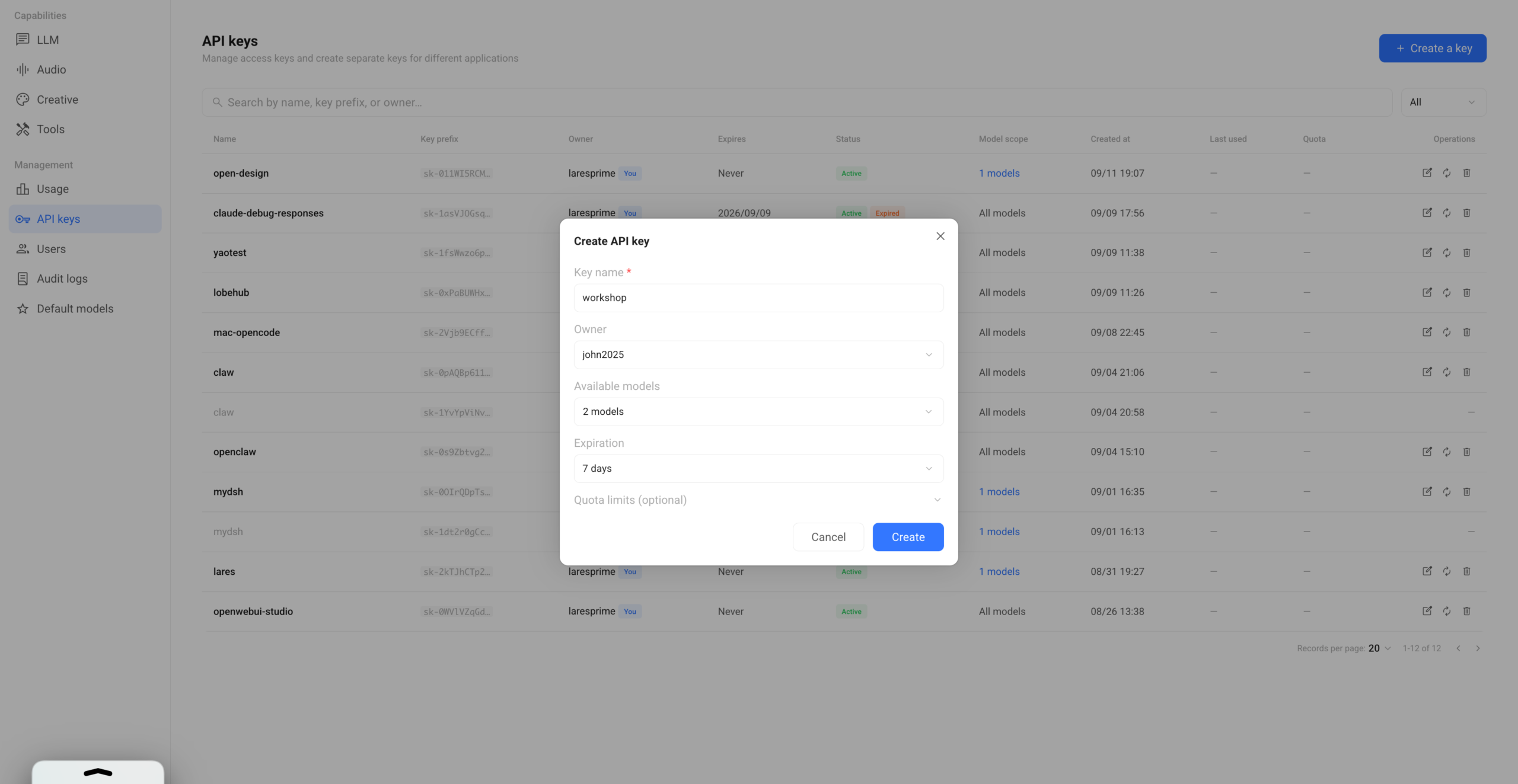 Router Create API key dialog showing owner, model scope, expiration, and quota settings