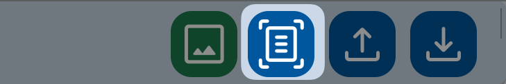 Page based redaction