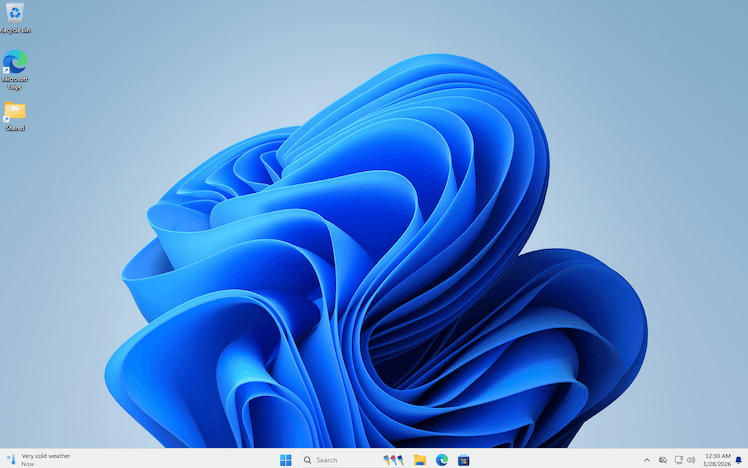 Windows VM