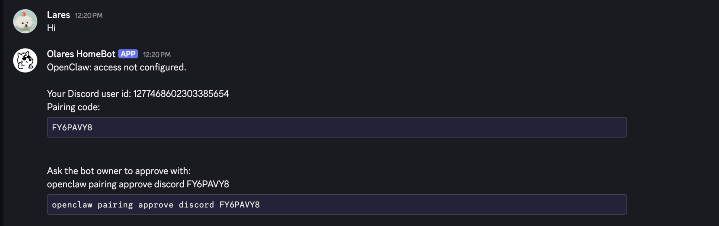 Pairing code from the bot DM