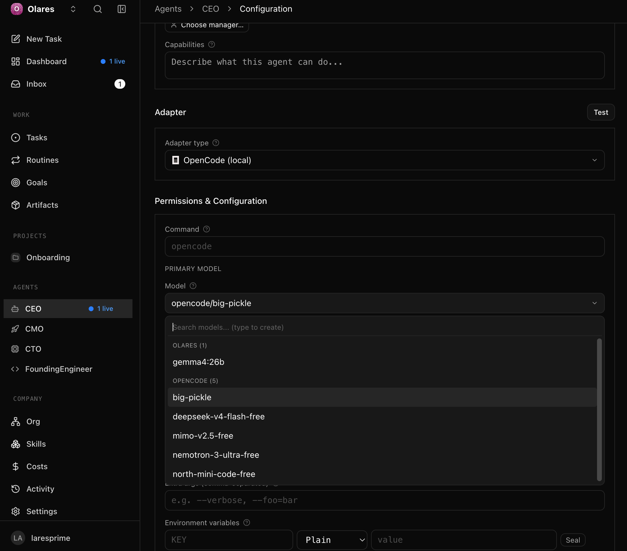 OpenCode local model in agent config