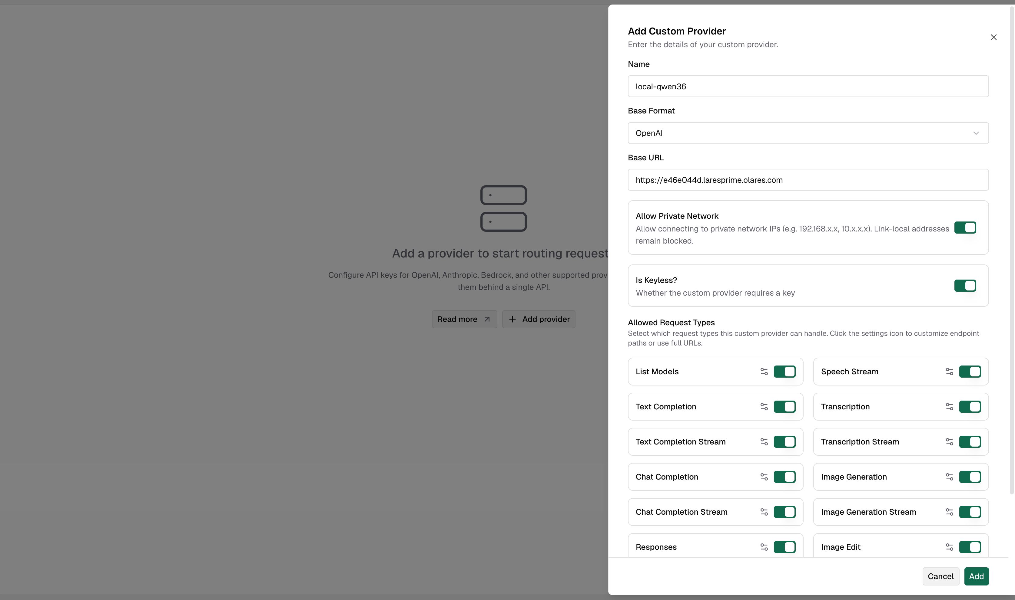 Edit custom provider config