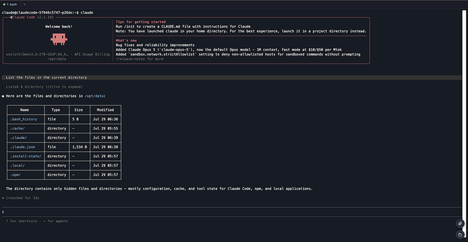 Claude Code first chat result