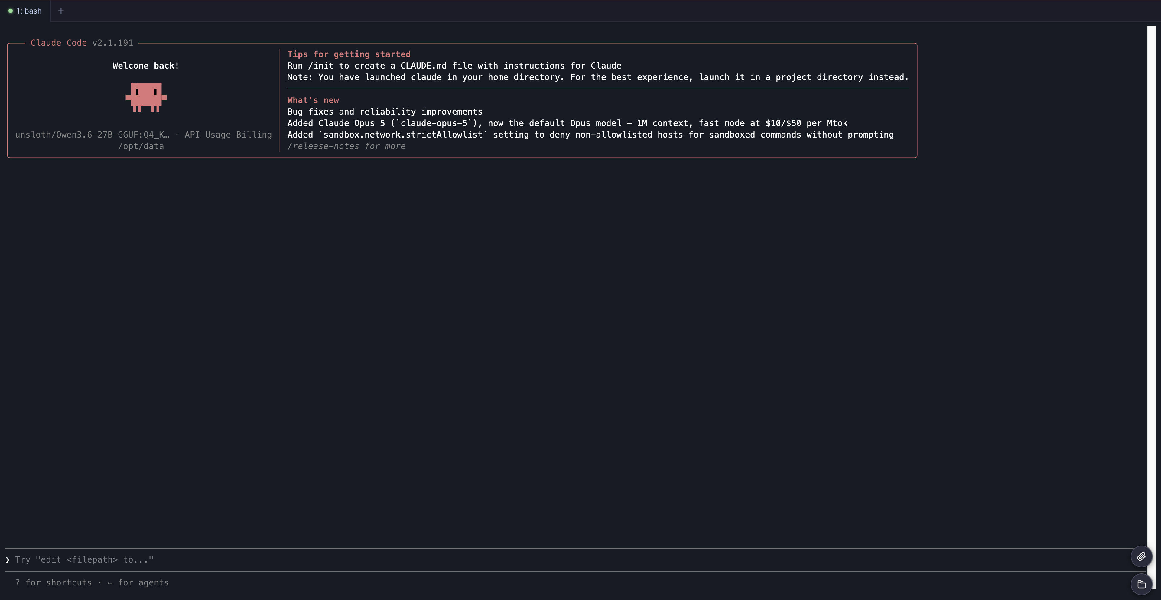 Claude Code first chat