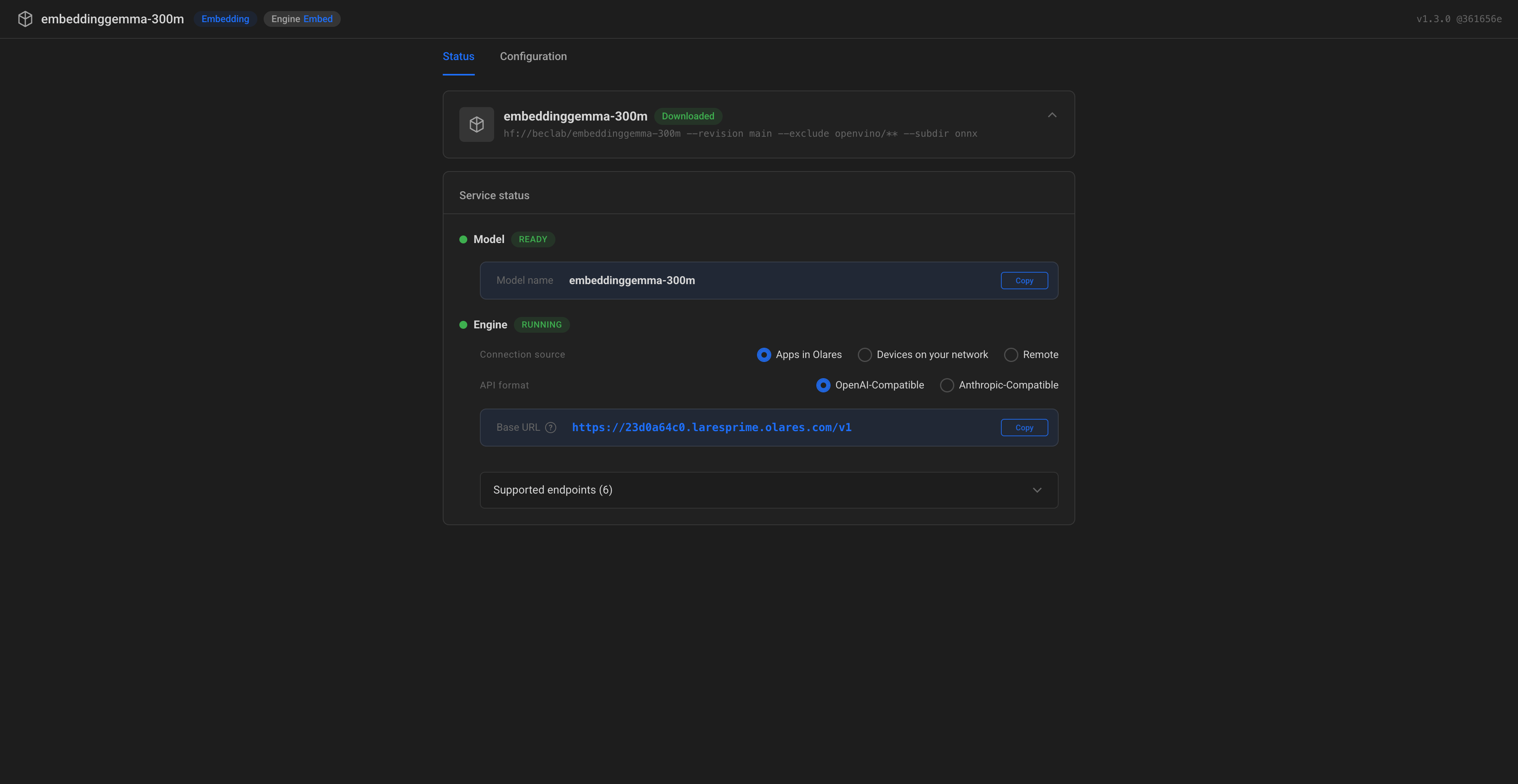 EmbeddingGemma model console