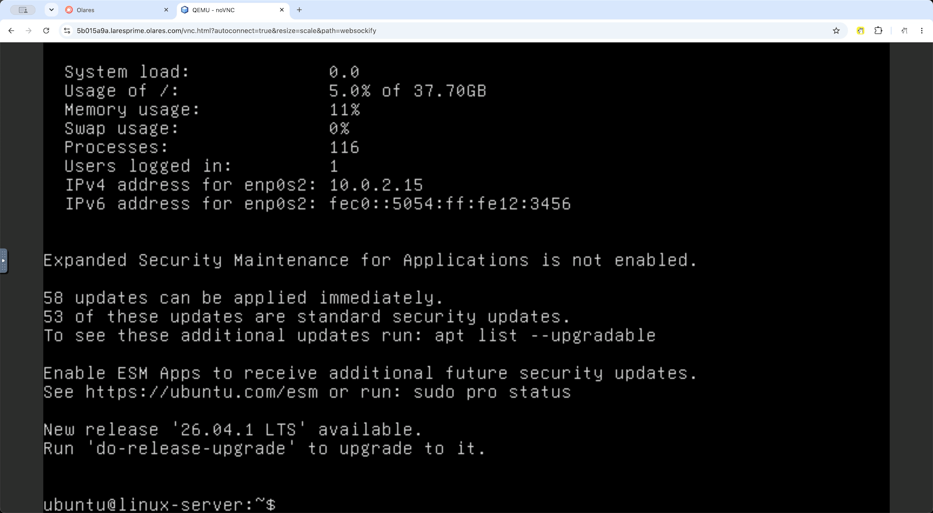 QEMU Server 浏览器控制台中的 Linux 命令行