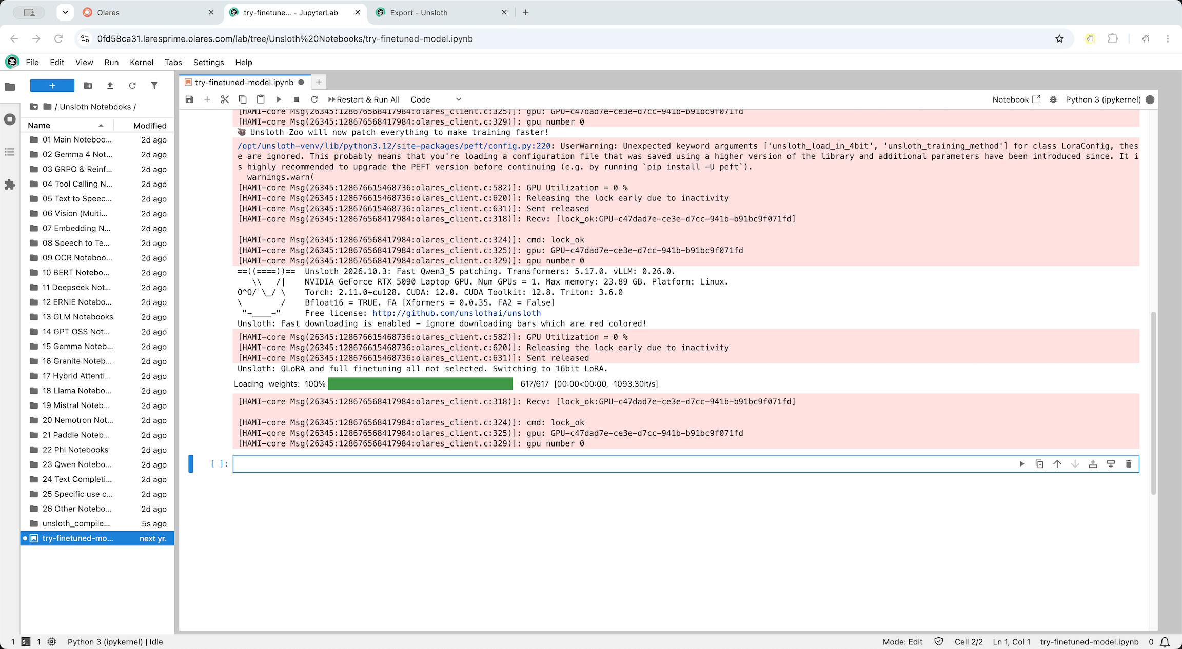 Model weights loading in JupyterLab