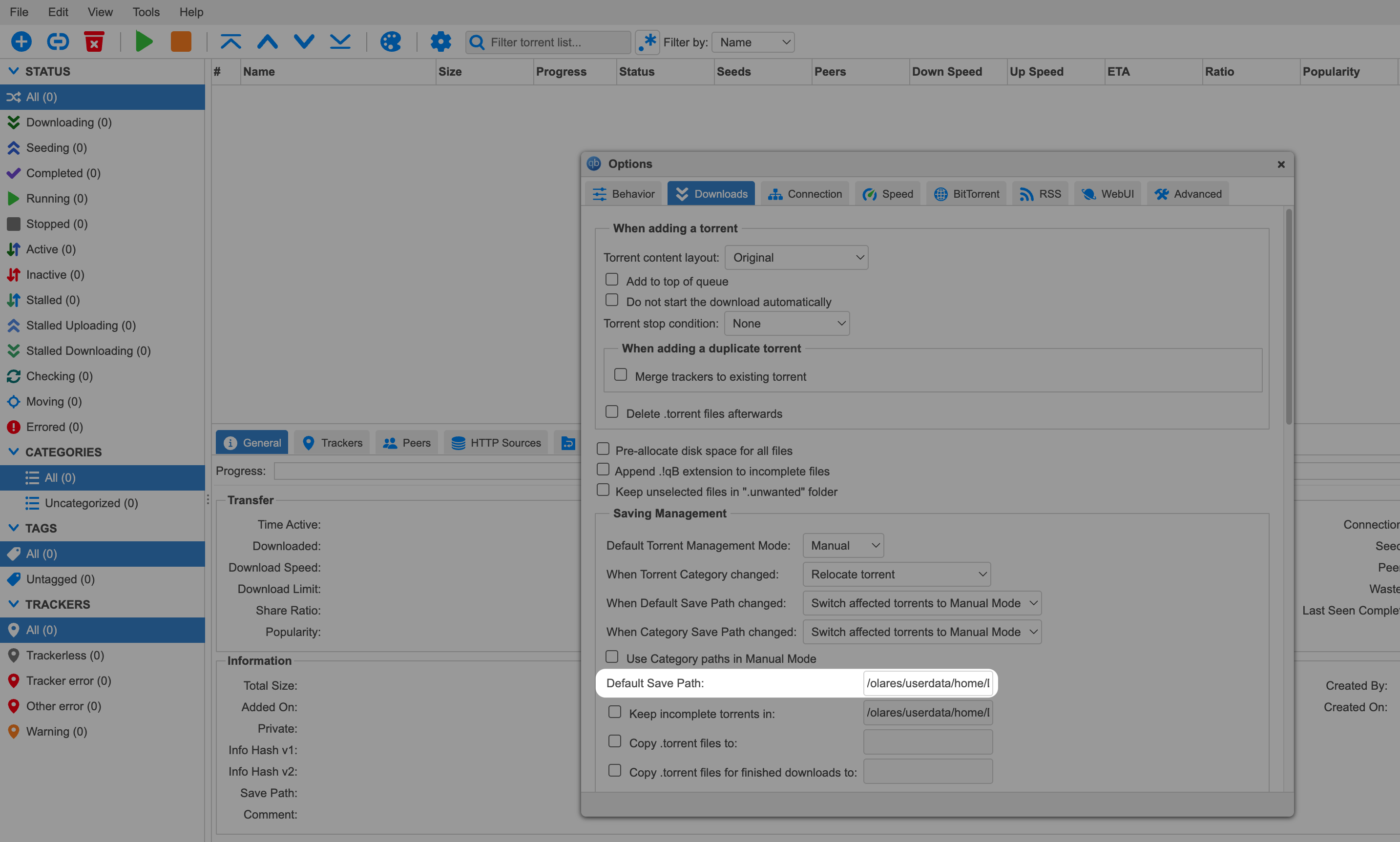 qBittorrent default save path