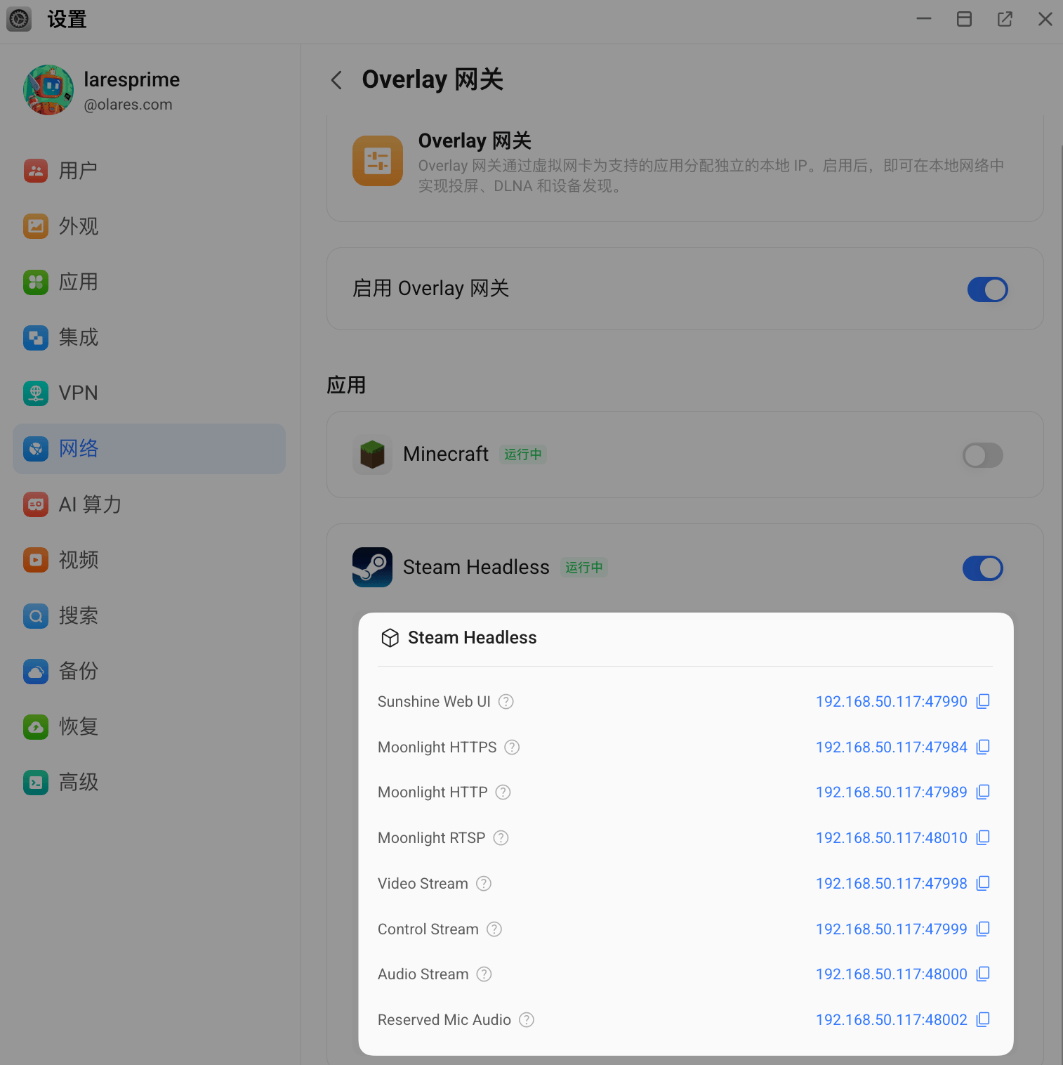 查看 Steam Headless 的 Overlay 网关地址