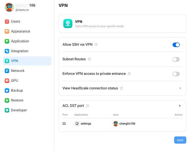 VPN